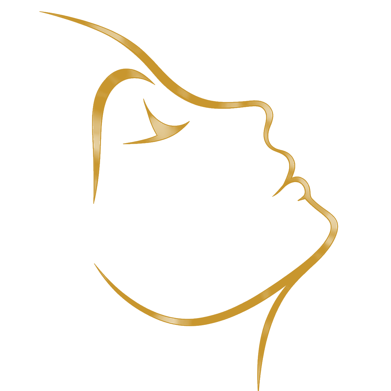 Lucé silhouette